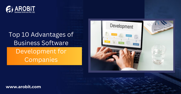 Top 10 Advantages of Business Software Development for Companies